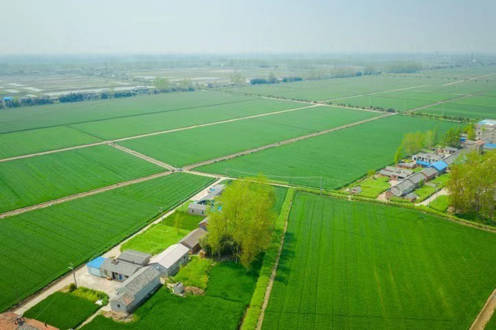 博羅縣泰美鎮(zhèn)現(xiàn)有耕地提質(zhì)改造項目